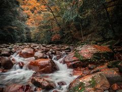 -光雾山旅游景区