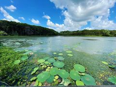 -昆山城市生态森林公园