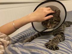 -北京恒爱动物医院(清景园分院)