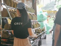 -榴莲BB 四季果园
