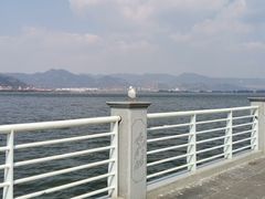 -海埂大坝