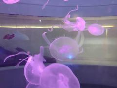 -常州海昌海洋探索馆