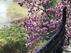 -堤角公园