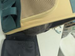 -宠颐生汉谟拉比宠物医院