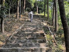 -风云岭森林公园