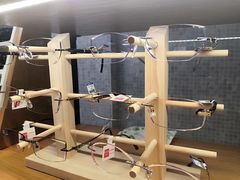 -MiRi明润眼镜·蔡司官方授权店(星光荟店)