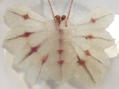-余师傅鱼生王