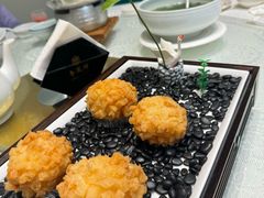 -丁老爷子苏香圆