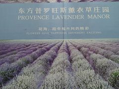 -北京东方普罗旺斯薰衣草庄园