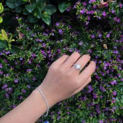 -威德钻石-克拉钻大本营(南京东路店)