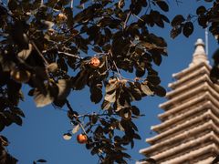 -北京石刻艺术博物馆(五塔寺)