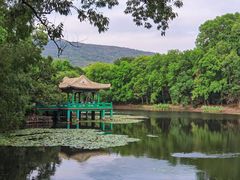 -钟山体育运动公园