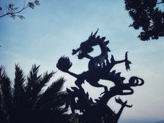 -亚龙湾热带天堂森林公园