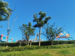 -奉贤海滩