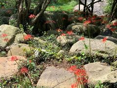 -武汉姚家山旅游景区
