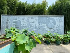 -陈家山荷花公园