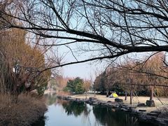 -上海滨江森林公园