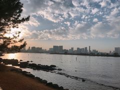 -台场海滨公园船码头
