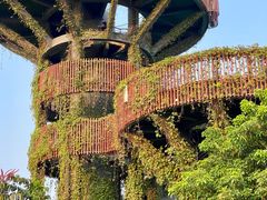-芒洲湿地公园