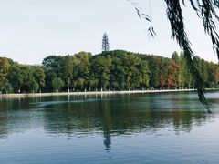 -东湖落雁景区