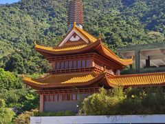 -深圳仙湖植物园