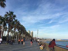 -小巴塞罗那海滩
