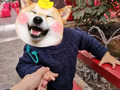 -兴芮温泉度假区