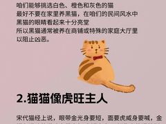 -lincat·猫舍(广州店)