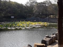 景点-高尔山公园