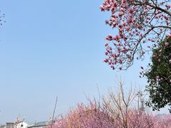 -院士公园