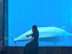 -海合安成都极地海洋公园