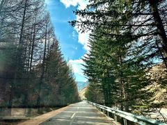 -芦芽山旅游度假区