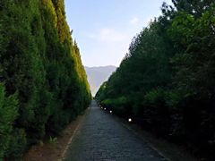 -秦始皇帝陵博物院-丽山园