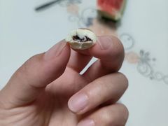 -GANSO元祖食品(大市口店)