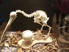 -怀托摩萤火虫洞