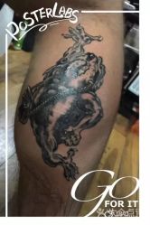 动物 金蟾-游刃刺青TATTOO纹身工作室