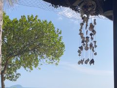 -渔家火锅·海鲜自助餐·演艺(亚龙湾天域酒店)