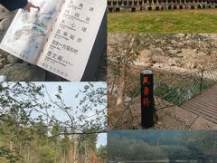 -楠溪江风景名胜区