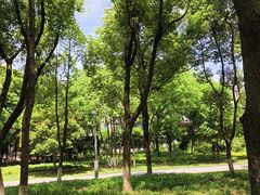 -洋湖国家湿地公园
