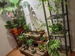 -腾龙刺青纹身TATTOO