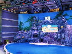 -珠海长隆海洋王国