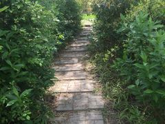 -新江湾城公园