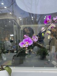 -逸丝风尚