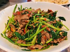 -壹盏灯(惠农店)