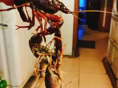 -青石桥市场北1-27号