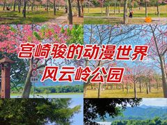 -风云岭森林公园