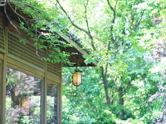 -中国茶叶博物馆(双峰馆区)