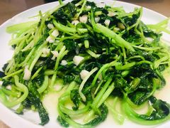 炝炒鸡毛菜-俏湘私房菜(国贸店)