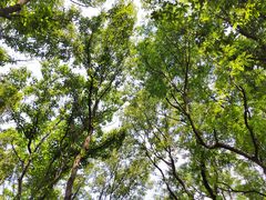 -南山风景名胜区