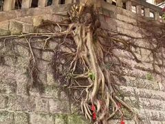 -重庆十八梯传统风貌区